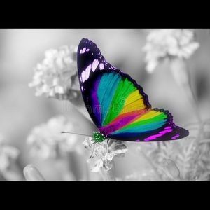 Meet your Posher, Lori